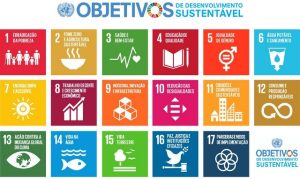 Leia mais sobre o artigo <strong>AVANÇOS NO PACTO GLOBAL</strong>