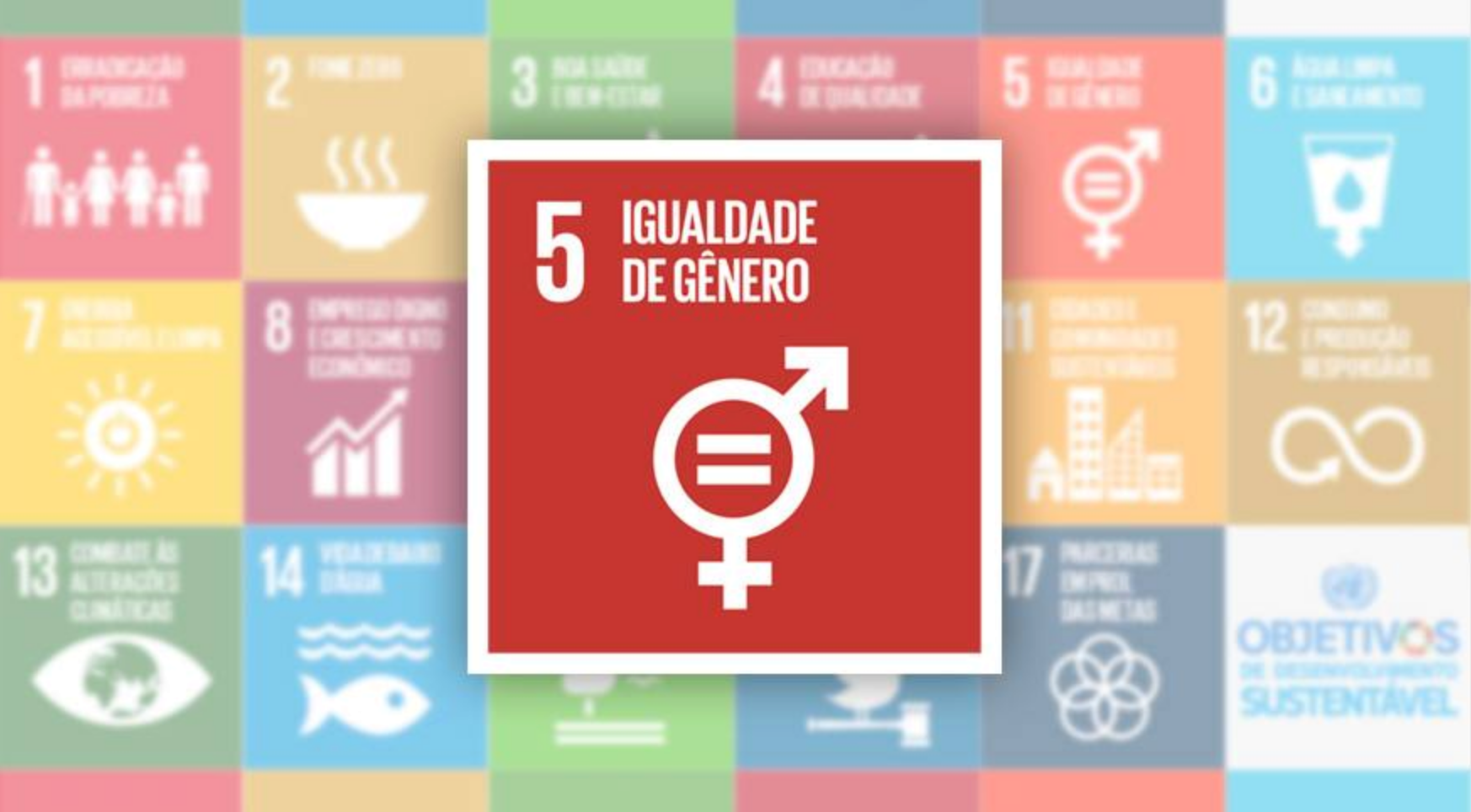 No momento, você está visualizando Núcleo e seu compromisso com ODS (Objetivos de Desenvolvimento Sustentável) da ONU : Apoio a igualdade de gênero e redução de desigualdades