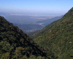Leia mais sobre o artigo Núcleo Engenharia reforça área ambiental com nova liderança