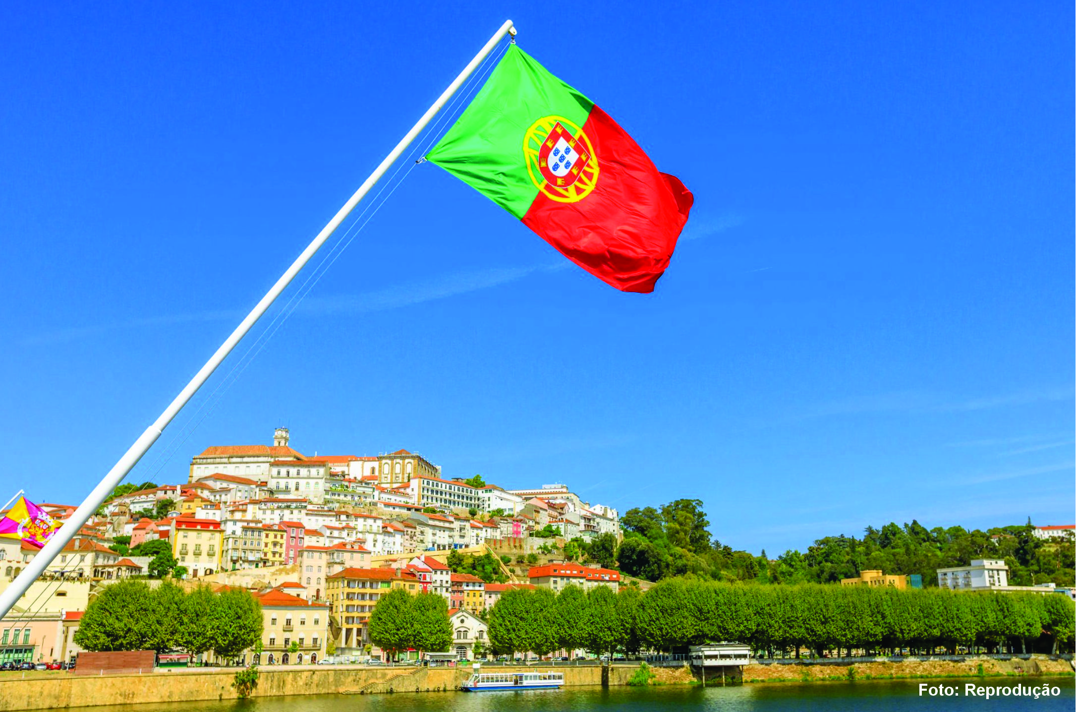 Leia mais sobre o artigo Expansão da Presença no Mercado de Portugal