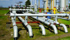 Leia mais sobre o artigo COMGÁS renova parceria com a NÚCLEO